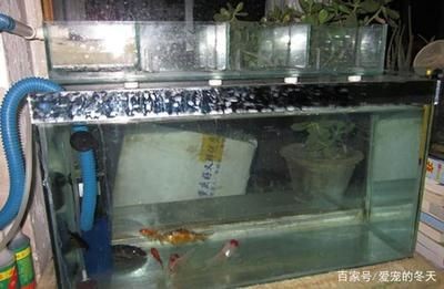 魚缸過濾器怎樣安裝出水快一點視頻(魚缸過濾器安裝步驟) 魚缸百科 第3張 魚缸過濾器怎樣安裝出水快一點視頻(魚缸過濾器安裝步驟) 魚缸過濾器怎樣安裝出水快一點視頻(魚缸過濾器安裝步驟) 魚缸百科 第3張