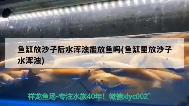 福清市三山鎮張祥觀賞魚店