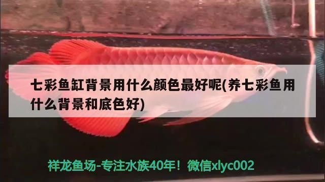 福清市三山鎮張祥觀賞魚店