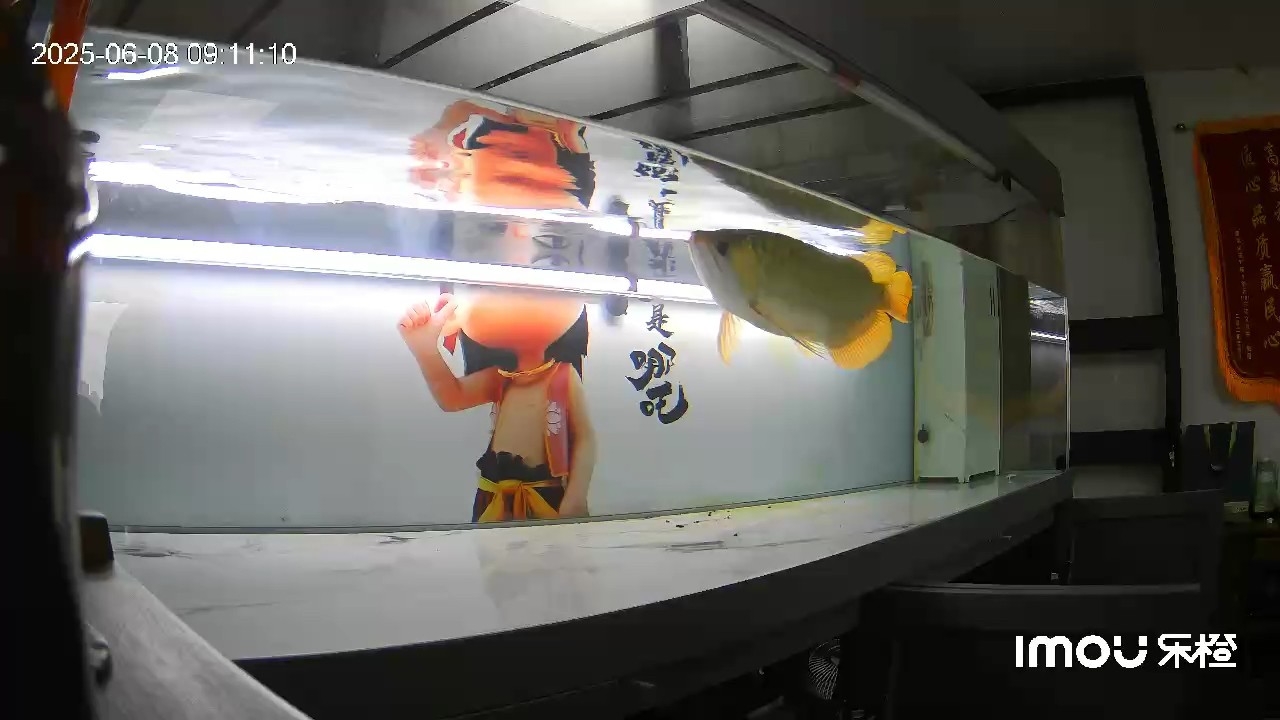 半水位飼養(yǎng)下