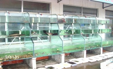 魚缸水質(zhì)管理的重要性：海鮮魚缸消毒時間取決于所使用的消毒方法及其推薦