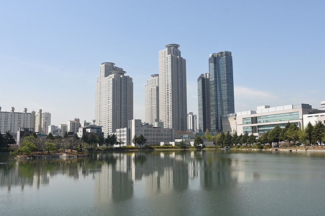 河源市源城區(qū)辰鑫水簇館，一次愉快的體驗(yàn)