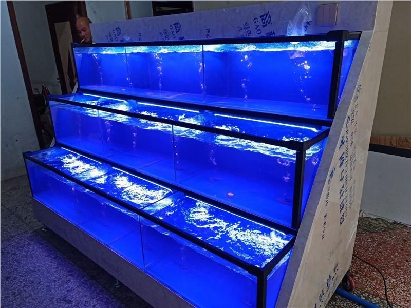 魚缸消毒時間和方法的詳細信息：海鮮魚缸消毒時間和方法