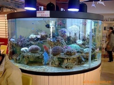 魚缸批發廠家電話：魚缸批發廠家及其聯系電話的詳細信息及其聯系電話的詳細信息