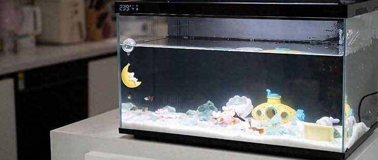 當貝智能魚缸需要增氧泵嗎：當貝智能魚缸是否需要增氧泵