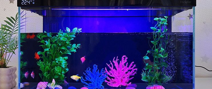 當貝智能魚缸需要增氧泵嗎：當貝智能魚缸是否需要增氧泵