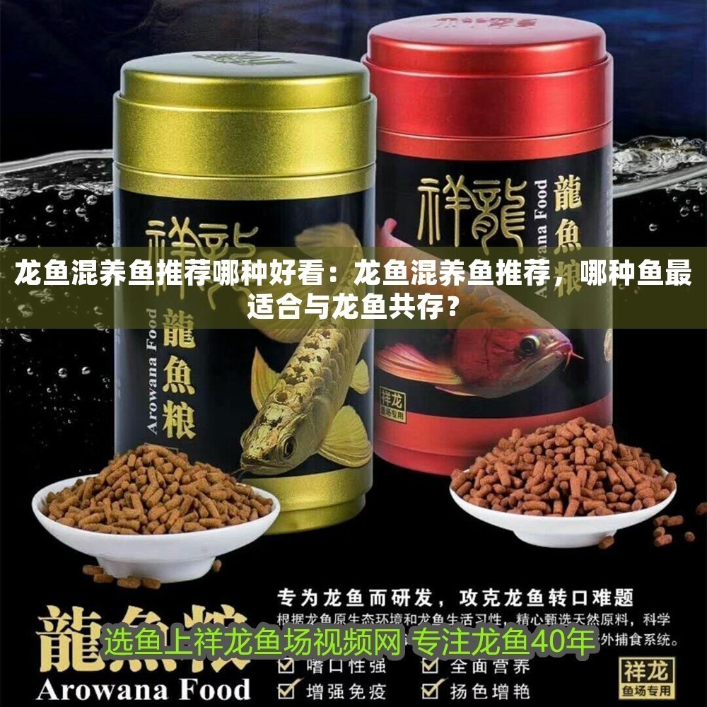 龍魚混養魚推薦哪種好看：龍魚混養魚推薦，哪種魚最適合與龍魚共存？ 龍魚混養魚推薦哪種好看：龍魚混養魚推薦，哪種魚最適合與龍魚共存？ 龍魚百科 第2張