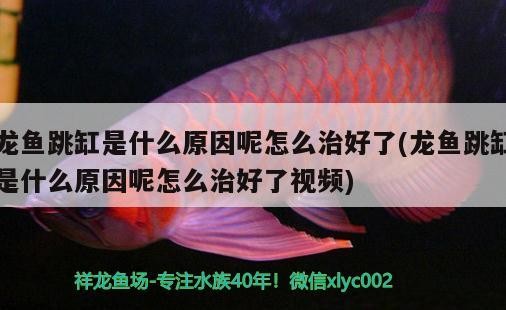 安溪縣鳳城泉福魚具店