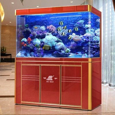 瑪麗魚缸：瑪麗魚缸裝飾搭配技巧,