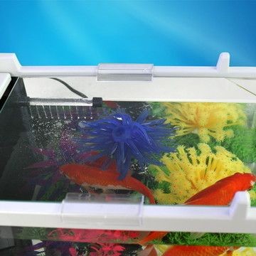 藍寶魚缸：藍寶魚缸怎么樣？