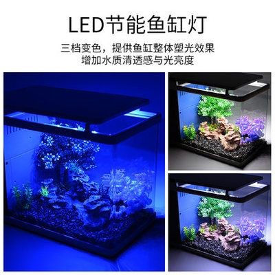 藍寶魚缸：藍寶魚缸怎么樣？