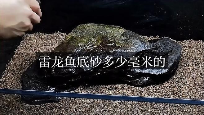 通州區平潮永新漁具店