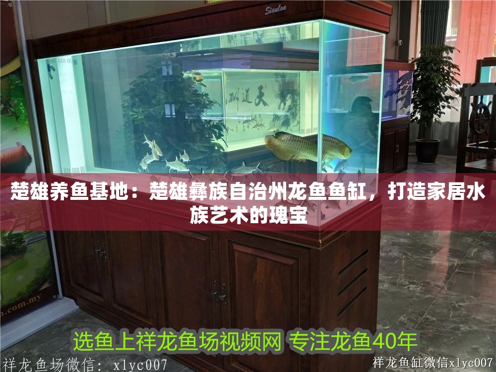 紅龍魚養殖溫度是多少度（紅龍魚養殖溫度是多少度合適） 紅龍魚養殖溫度是多少度（紅龍魚養殖溫度是多少度合適） 龍魚百科 第1張