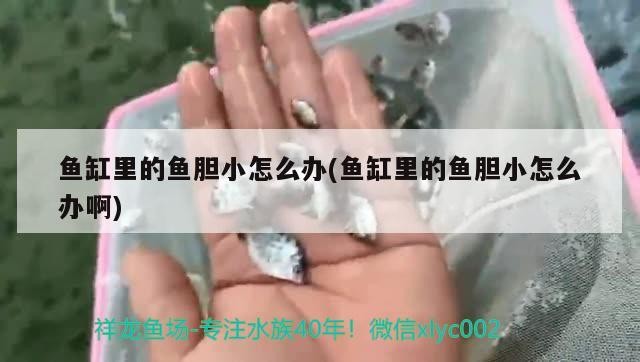 天津市武清區(qū)亮麗鮮花店