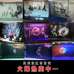 龍魚缸貼什么背景紙好看（選擇龍魚缸背景紙時應(yīng)考慮其與龍魚缸的尺寸、顏色和設(shè)計相協(xié)調(diào)）