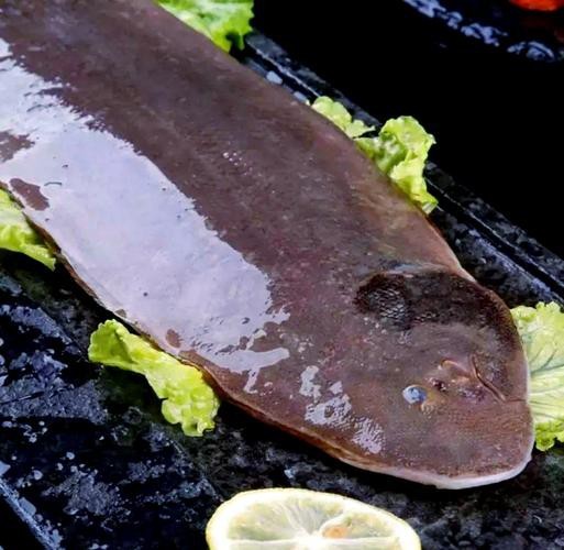 潮汕龍魚拜神圖片欣賞