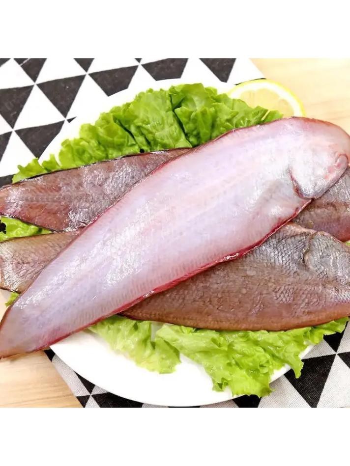 潮汕龍魚拜神圖片欣賞