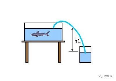 魚缸水質管理的全面指南：w魚缸底砂過濾系統搭建高效的底砂過濾系統搭建方案