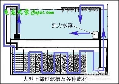魚缸水質管理的全面指南：w魚缸底砂過濾系統搭建高效的底砂過濾系統搭建方案