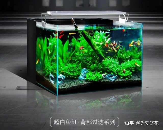 過(guò)濾最好的魚缸制作（魚缸過(guò)濾系統(tǒng)制作）