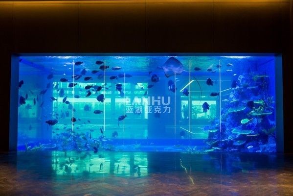 魚缸布置景，魚缸造景新手入門指南