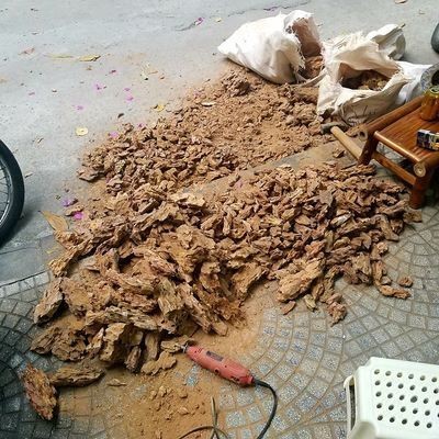 魚缸布置景，魚缸造景新手入門指南