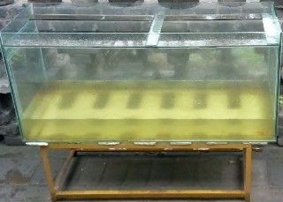 底濾魚缸加裝過濾桶可以帶來一定的好處，但也存在一些潛在的問題：底濾魚缸加裝過濾桶可以帶來一定的好處