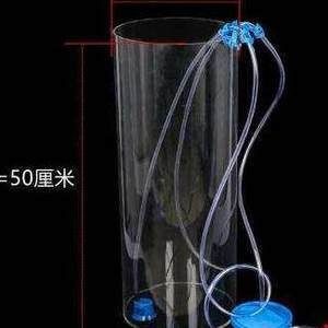 給魚缸換水需要注意的事項：給魚缸換水的注意事項 給魚缸換水需要注意的事項：給魚缸換水的注意事項 魚缸百科 第4張