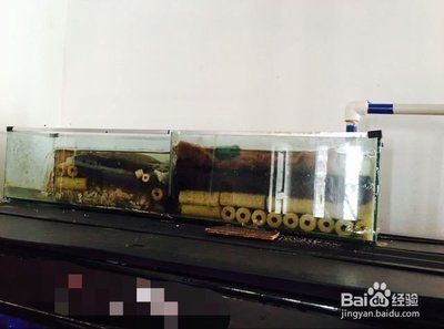 魚缸過濾器拼裝：魚缸過濾器安裝方法