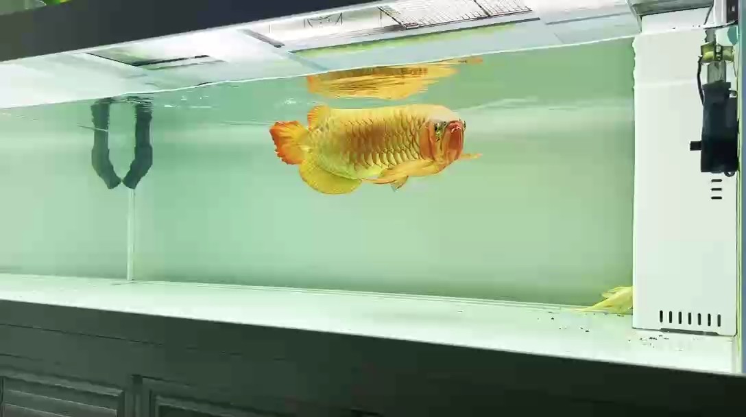 放松時刻