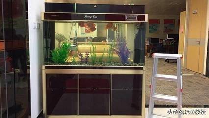 通遼市科爾沁區(qū)向陽大街源河觀賞魚店