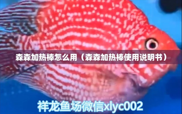 思南縣思唐鎮(zhèn)森森水族專賣店（思南縣思唐鎮(zhèn)森森水族專賣店地址）