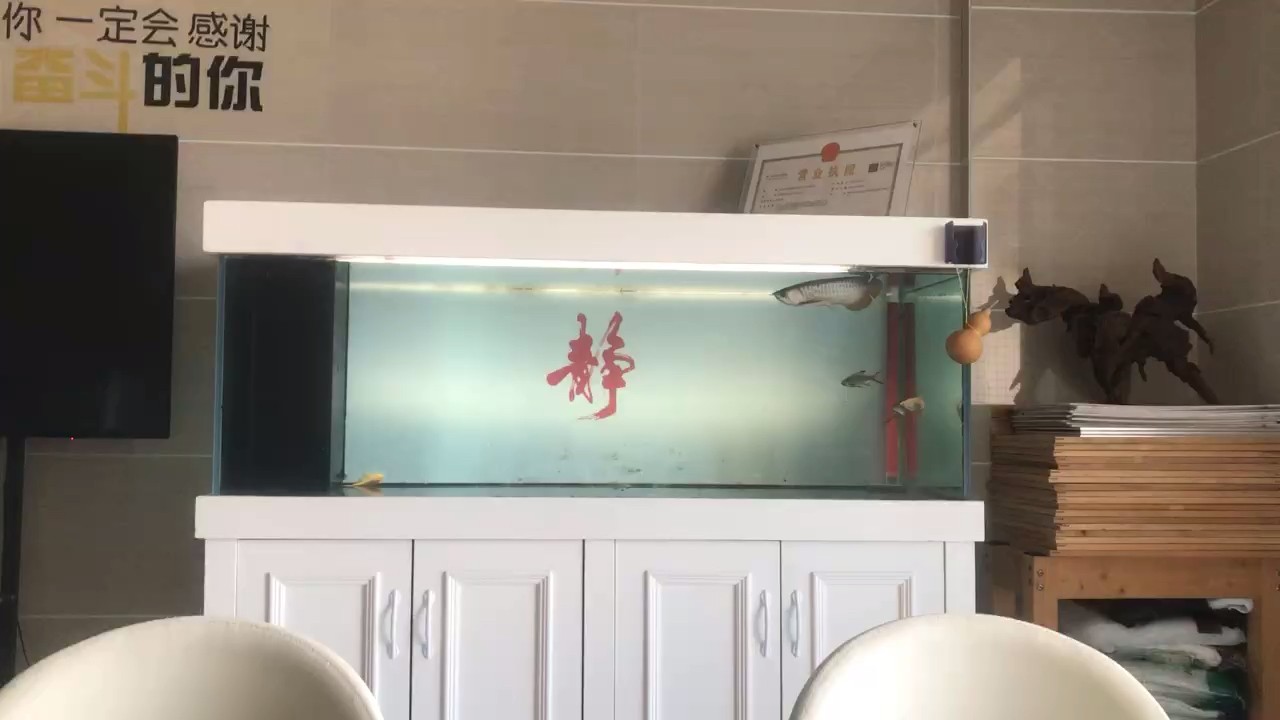 打卡，養忙20天