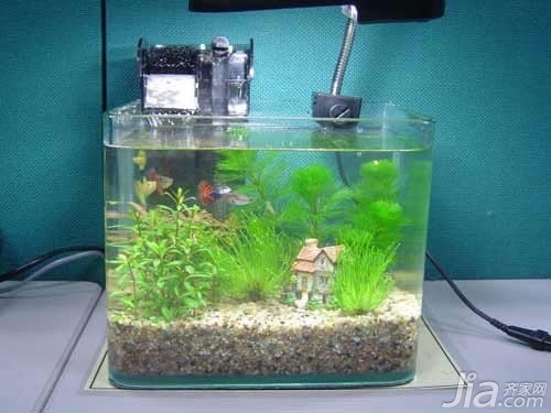 杭州市拱墅區毛毛語水族館（杭州市拱墅區毛毛語水族館地址）