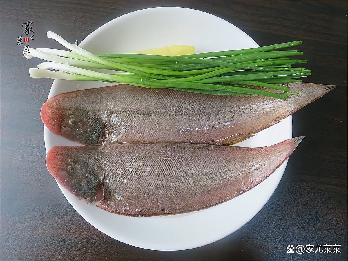 龍利魚的最佳食用季節