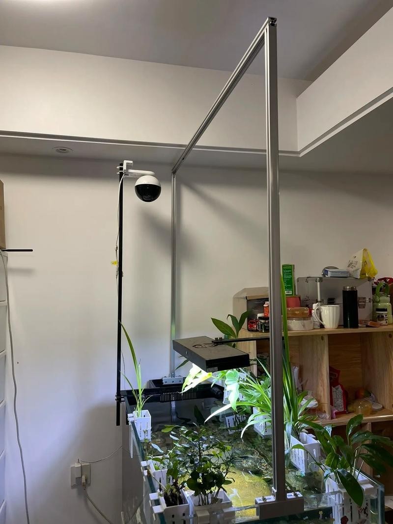龍魚缸用燈架好不好