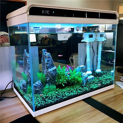市中區李加玲花卉店（市中區李加玲花卉店地址）