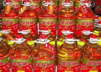 金龍魚是雜牌還是名牌