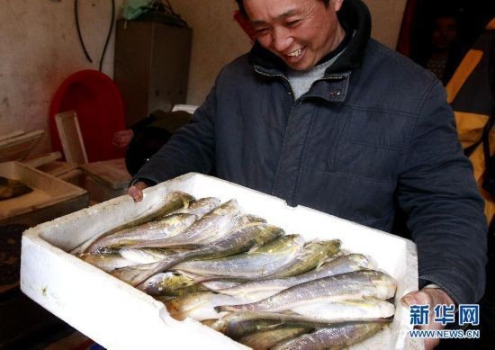 重慶瑰麗水族工程有限公司瑰麗水族經營部（重慶 瑰麗酒店）