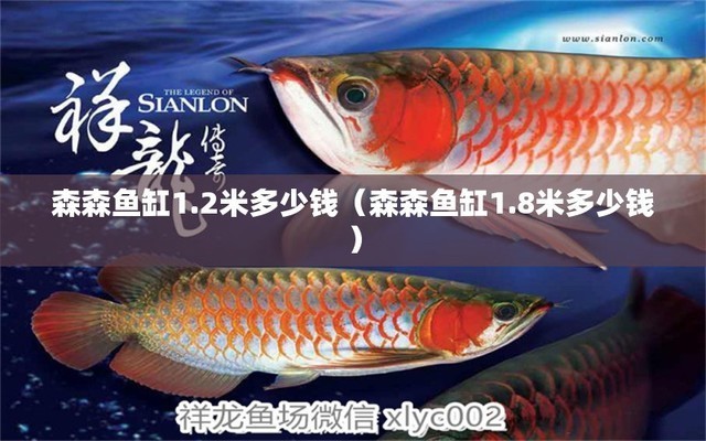 綏化<strong><mark>市北</mark></strong>林區建軍海洋水族館（綏化<strong><mark>市北</mark></strong>林區建軍海洋水族館電話）