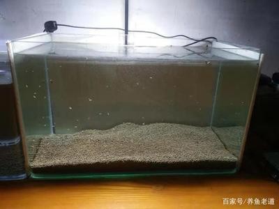 博樂市魔幻花園（博樂市魔幻花園在哪里）