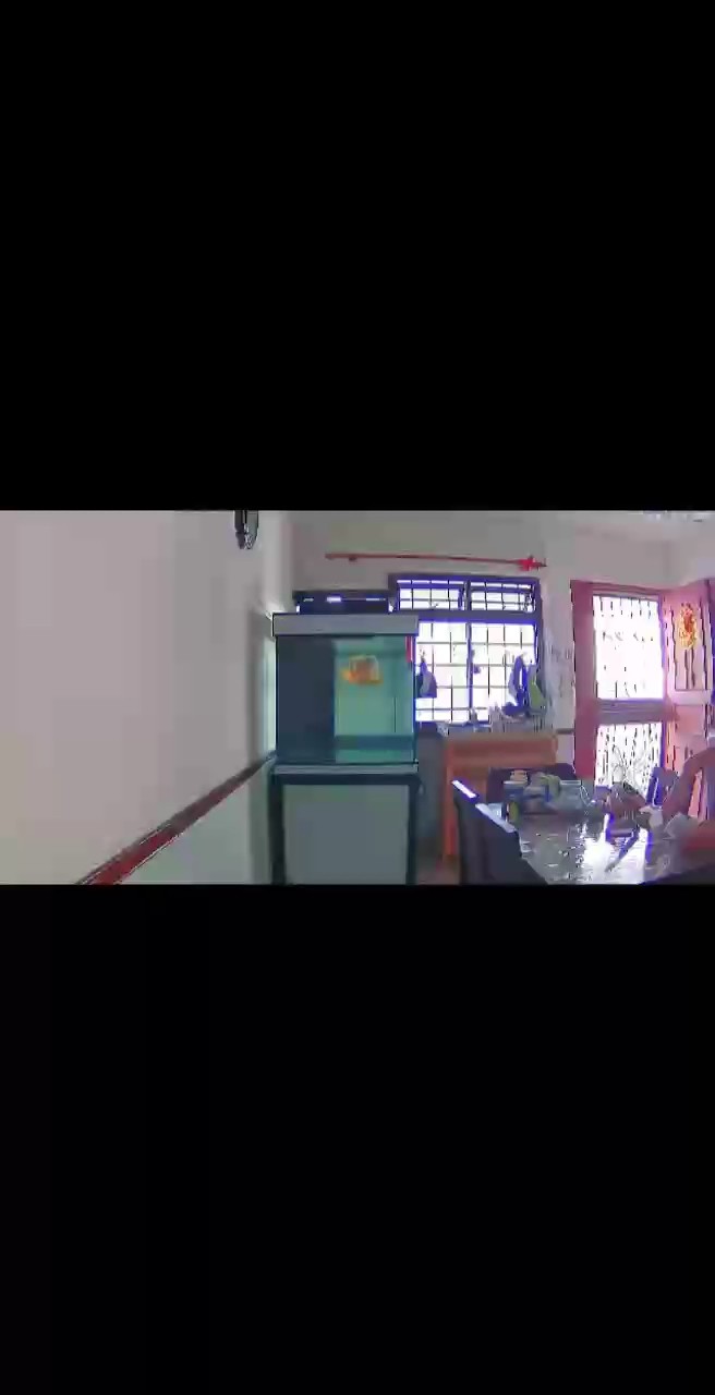 水中芭蕾