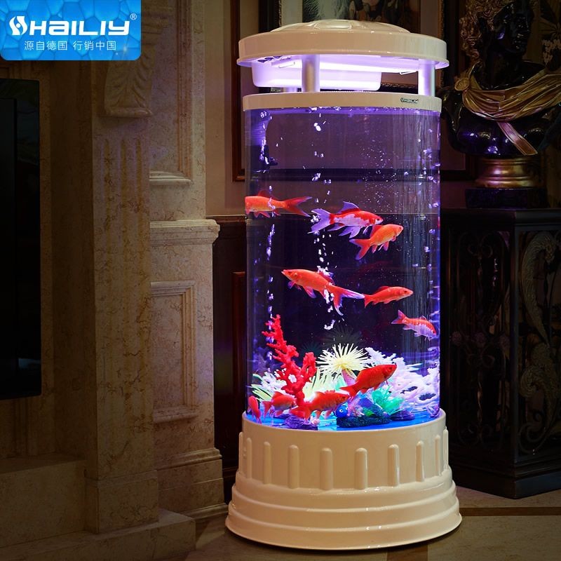 海麗雅魚(yú)缸圖片:海麗雅魚(yú)缸價(jià)格對(duì)比八角魚(yú)缸搭配什么魚(yú)缸維護(hù)技巧 魚(yú)缸百科 第5張 海麗雅魚(yú)缸圖片:海麗雅魚(yú)缸價(jià)格對(duì)比八角魚(yú)缸搭配什么魚(yú)缸維護(hù)技巧 海麗雅魚(yú)缸圖片:海麗雅魚(yú)缸價(jià)格對(duì)比八角魚(yú)缸搭配什么魚(yú)缸維護(hù)技巧 魚(yú)缸百科 第5張