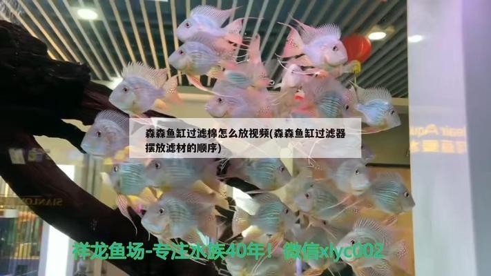 湛江市麻章區福祥水族館（湛江市麻章區福祥水族館電話）