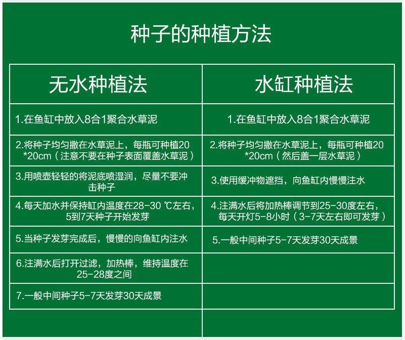 魚缸彩葉草圖片欣賞大全：關于魚缸彩葉草圖片欣賞大全詳情