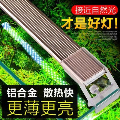 森森魚(yú)缸燈ldt980b和ado-980哪個(gè)好：森森魚(yú)缸燈ldt980b和ado-980在比較時(shí)需要考慮多個(gè)因素
