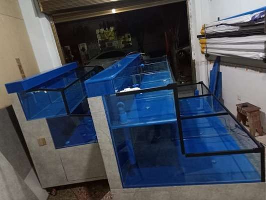 定制魚缸和成品魚缸：定制魚缸與成品魚缸的區(qū)別
