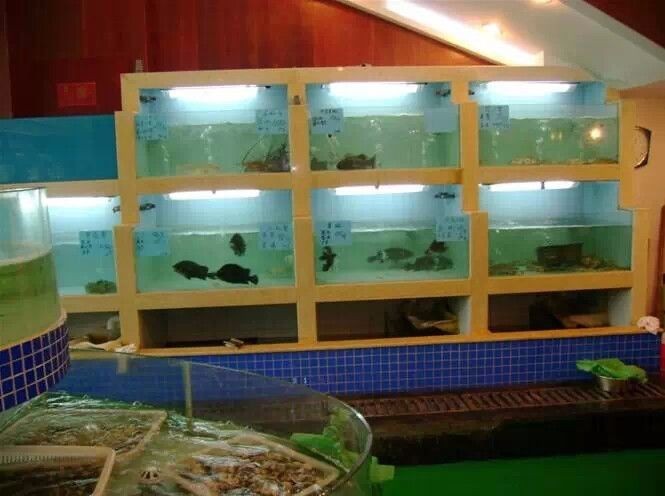 魚缸圖片尺寸大全圖 魚缸圖片尺寸大全圖 魚缸百科 第4張