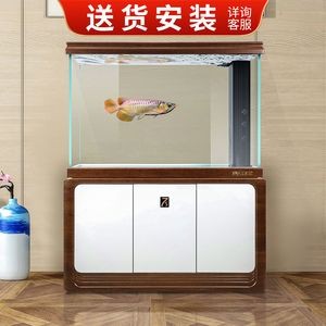 龍魚眼睛白點是金魚常見的疾病之一（如何判斷金龍魚眼睛白點是否嚴重）