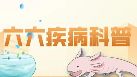 六角恐龍魚不肯吃東西（六角恐龍魚不吃東西可能由多種因素引起六角恐龍魚疾病預防措施）